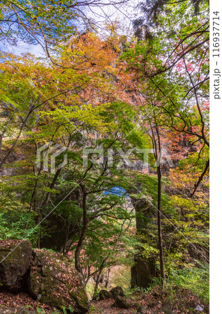 【群馬県】紅葉期の妙義山　石門めぐり　第一石門付近 116937714