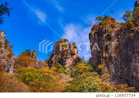 【群馬県】紅葉最盛期の妙義山 116937734