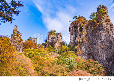 【群馬県】紅葉最盛期の妙義山 【群馬県】紅葉最盛期の妙義山 116937735