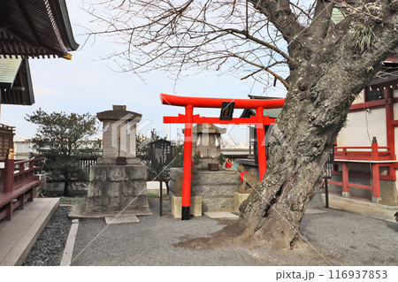 北九州市小倉北区にある篠崎八幡神社の境内社 北九州市小倉北区にある篠崎八幡神社の境内社 116937853