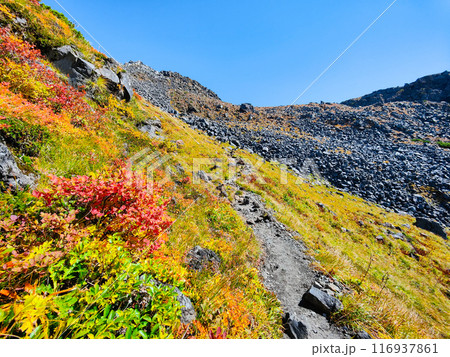 秋の鳥海山登山：千蛇谷 116937861
