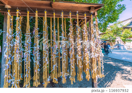 日本の寒川都市景観　相模國一之宮 寒川神社など望む＝令和6年7月21日 116937932