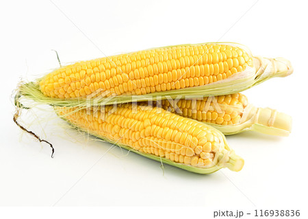 とうもろこし（夏祭り） 116938836