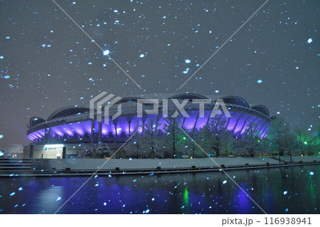 雪のビッグスワン(新潟県) 雪のビッグスワン(新潟県) 116938941