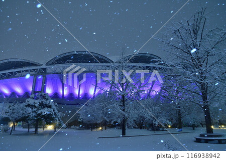 雪のビッグスワン（新潟県） 116938942