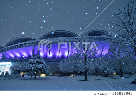 雪のビッグスワン（新潟県） 116938943