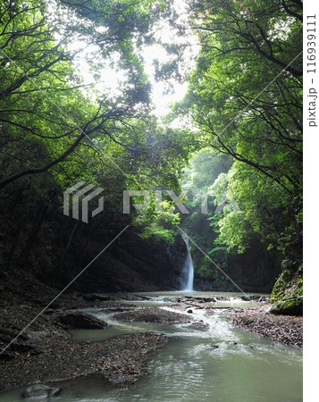 鮎返りの滝2024【香川県三豊市財田町】 116939111