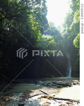 鮎返りの滝2024【香川県三豊市財田町】2 鮎返りの滝2024【香川県三豊市財田町】2 116939112