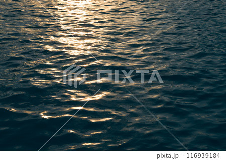 Kwan Phayao Lake in Thailand 116939184