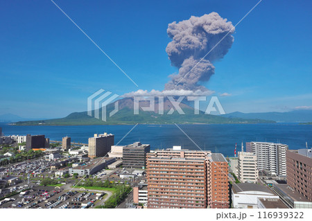 噴煙を上げる桜島 116939322