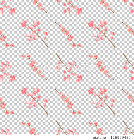 Watercolor hand drawn autumn seamless pattern with red berries on white background. Fall endless pattern with rowan. Scrapbook paper. Pattern for fabric, wrapping paper. Digital paper 116939486