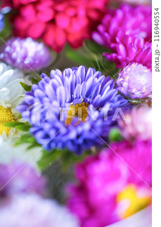 色とりどりの花を浮かべた花手水 色とりどりの花を浮かべた花手水 116940554