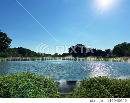 池のある公園 池のある公園 116940646