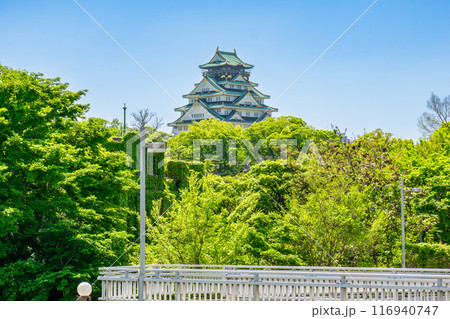 大阪市都島区片町の大坂橋から見る大阪城天守閣 116940747
