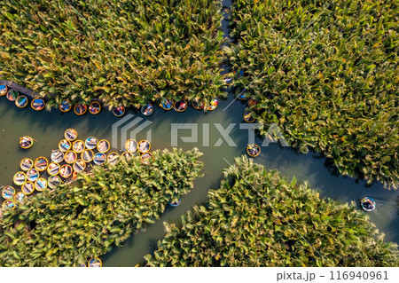 Bay Mau coconut forest, Hoi An eco-tourism area, Quang Nam province, Vietnam 116940961