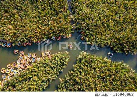 Bay Mau coconut forest, Hoi An eco-tourism area, Quang Nam province, Vietnam 116940962