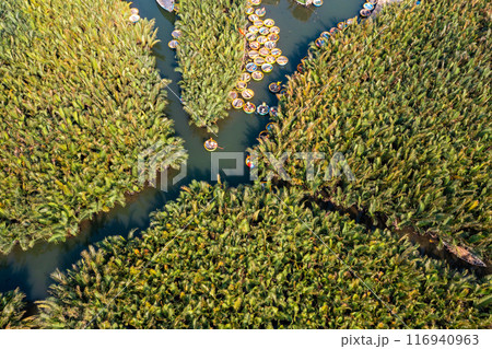 Bay Mau coconut forest, Hoi An eco-tourism area, Quang Nam province, Vietnam 116940963