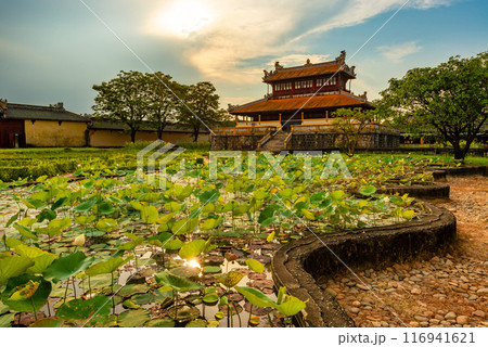 Imperial City with the Purple Forbidden City within the Citadel in Hue, Vietnam. 116941621