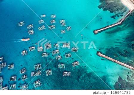 Cu Lao Re or Ly Son island or Volcanic island, Quang Ngai, Vietnam. 116941783