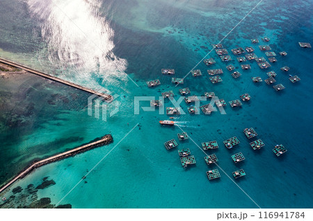 Cu Lao Re or Ly Son island or Volcanic island, Quang Ngai, Vietnam. Cu Lao Re or Ly Son island or Volcanic island, Quang Ngai, Vietnam. 116941784