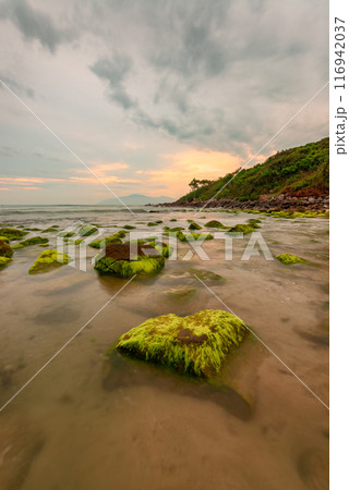 Nam O Beach, Da Nang Beach is a beautiful beach in Danang city , Vietnam. 116942037