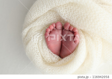The tiny foot of a newborn. Soft feet of a newborn in a white woolen blanket. Close up of toes, heels and feet of a newborn baby. Studio Macro photography. Woman's happiness. 116942058