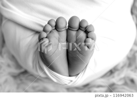 Foot of a newborn. Close up feet, toes, heels, feet of a newborn baby. Studio monochrome, vintage style, black and white macro photography. Foot of a newborn. Close up feet, toes, heels, feet of a newborn baby. Studio monochrome, vintage style, black and white macro photography. 116942063