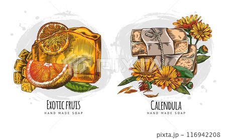 Handmade natural exotic fruits and calendula essential oil soap color hand drawn vector set, herbal aroma soap bricks 116942208