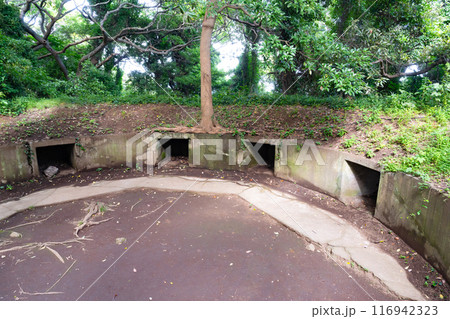 神奈川県横須賀市 猿島 神奈川県横須賀市 猿島 116942323