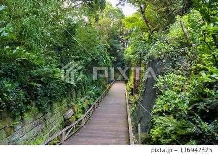 神奈川県横須賀市 猿島 神奈川県横須賀市 猿島 116942325