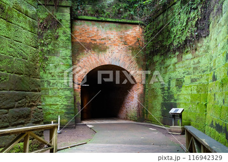 神奈川県横須賀市 猿島 神奈川県横須賀市 猿島 116942329