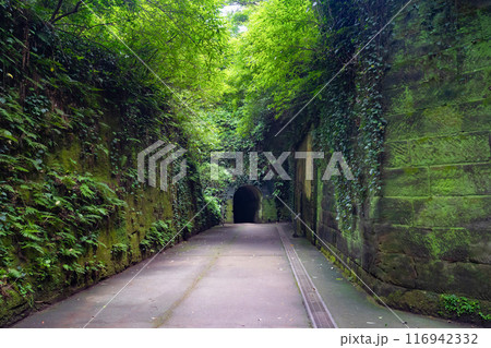 神奈川県横須賀市 猿島 神奈川県横須賀市 猿島 116942332