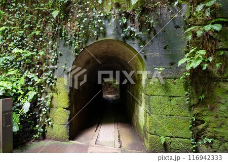 神奈川県横須賀市　猿島 116942333