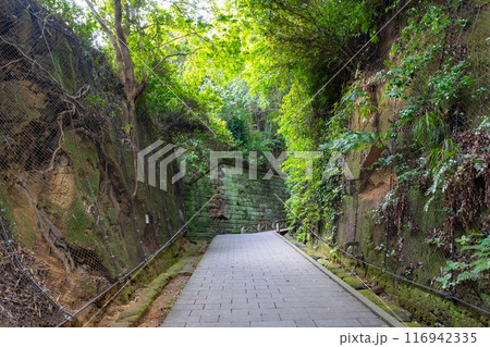 神奈川県横須賀市　猿島 116942335