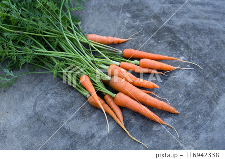 A bunch of organic carrots on a metallic black background A bunch of organic carrots on a metallic black background 116942338