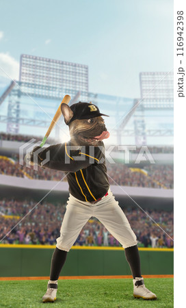 Focused baseball athlete in uniform standing on field with bat, showing reading to win the game. 3d render of baseball open air stadium with filled fans tribune. Photo collage Focused baseball athlete in uniform standing on field with bat, showing reading to win the game. 3d render of baseball open air stadium with filled fans tribune. Photo collage 116942398