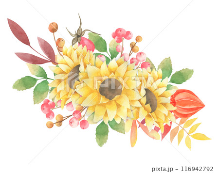Watercolor autumn composition with sunflowers, red berries, fallen leaves, rose hip, physalis isolated on white background. Fall holiday bouquet. flower illustration. Thanksgiving, Autumn decoration. 116942792