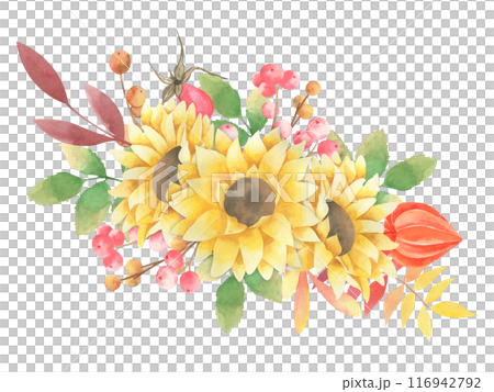 Watercolor autumn composition with sunflowers, red berries, fallen leaves, rose hip, physalis isolated on white background. Fall holiday bouquet. flower illustration. Thanksgiving, Autumn decoration. 116942792