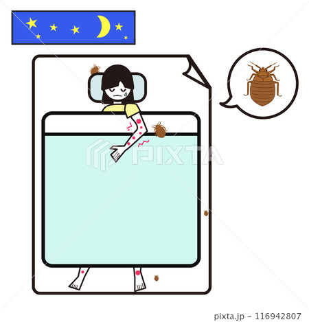 夜、暗くなって寝ているときにトコジラミが吸血に来ているイラスト 116942807