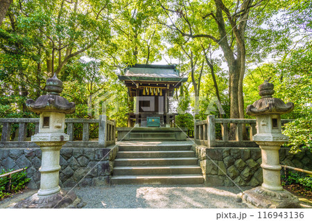 日本の寒川都市景観 宮山神社を望む(相模國一之宮 寒川神社末社)=令和6年7月21日 日本の寒川都市景観 宮山神社を望む(相模國一之宮 寒川神社末社)=令和6年7月21日 116943136