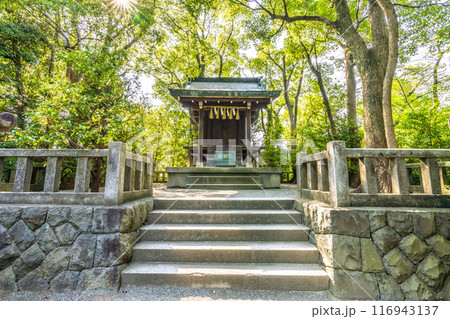 日本の寒川都市景観 宮山神社を望む(相模國一之宮 寒川神社末社)=令和6年7月21日 日本の寒川都市景観 宮山神社を望む(相模國一之宮 寒川神社末社)=令和6年7月21日 116943137