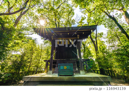 日本の寒川都市景観　宮山神社を望む（相模國一之宮 寒川神社末社）＝令和6年7月21日 116943139