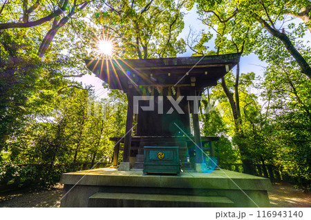日本の寒川都市景観 宮山神社を望む(相模國一之宮 寒川神社末社)=令和6年7月21日 日本の寒川都市景観 宮山神社を望む(相模國一之宮 寒川神社末社)=令和6年7月21日 116943140