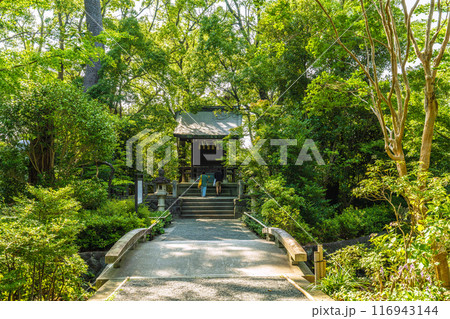日本の寒川都市景観 宮山神社を望む(相模國一之宮 寒川神社末社)=令和6年7月21日 日本の寒川都市景観 宮山神社を望む(相模國一之宮 寒川神社末社)=令和6年7月21日 116943144