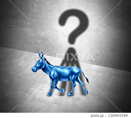 US left Wing Questions US left Wing Questions 116943394