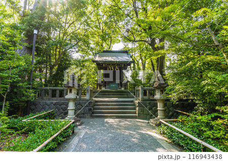日本の寒川都市景観　宮山神社を望む（相模國一之宮 寒川神社末社）＝令和6年7月21日 116943438