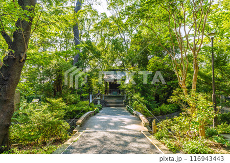 日本の寒川都市景観　宮山神社を望む（相模國一之宮 寒川神社末社）＝令和6年7月21日 116943443
