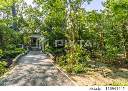 日本の寒川都市景観　宮山神社を望む（相模國一之宮 寒川神社末社）＝令和6年7月21日 116943445