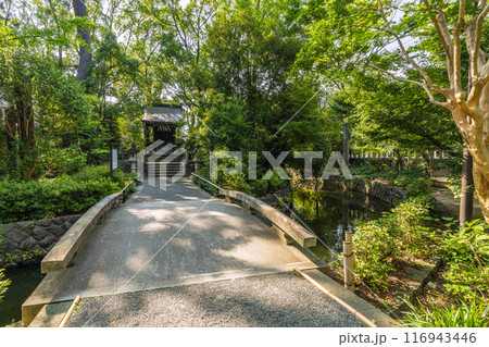 日本の寒川都市景観　宮山神社を望む（相模國一之宮 寒川神社末社）＝令和6年7月21日 116943446