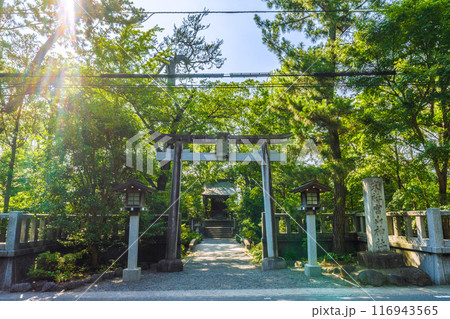 日本の寒川都市景観 宮山神社を望む(相模國一之宮 寒川神社末社)=令和6年7月21日 日本の寒川都市景観 宮山神社を望む(相模國一之宮 寒川神社末社)=令和6年7月21日 116943565